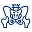 pelvis icon