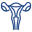 uterus icon