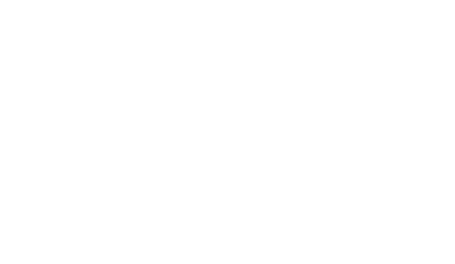 Stoa logo