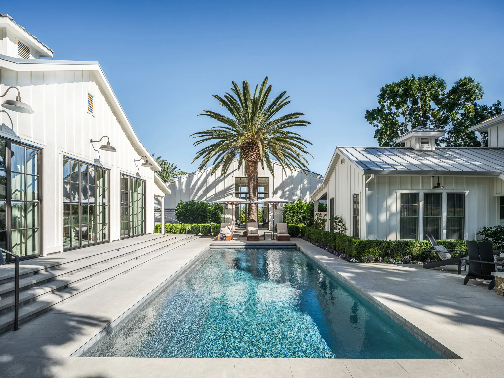 Modern backyard pool with lounge chairs under umbrellas and palm trees surrounded by white houses.