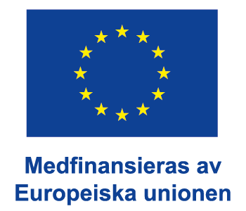 The European Union logo with the text "Co-funded by the European Union" in Swedish