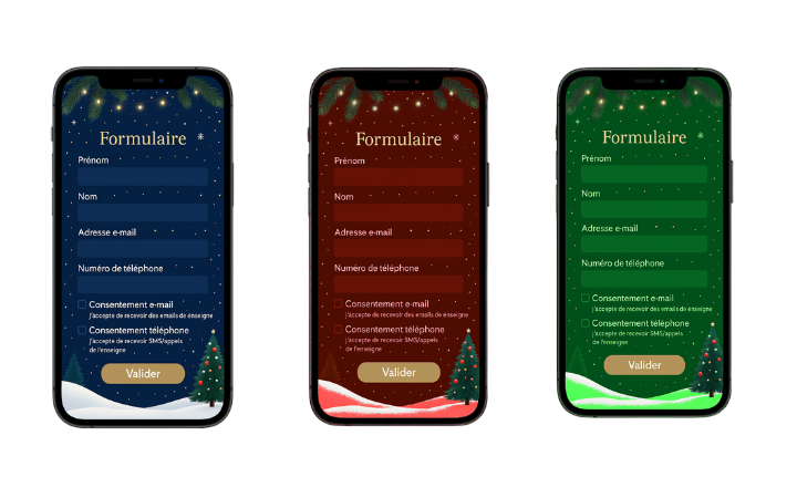 Formulaire de collecte de données pour jeu concours de Noël