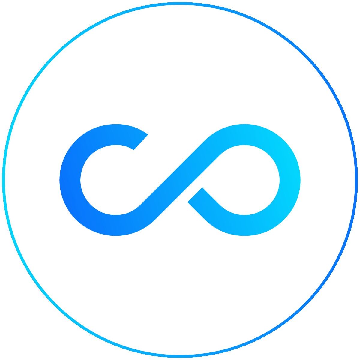 CONVERSIOS SYSTEMS LLC