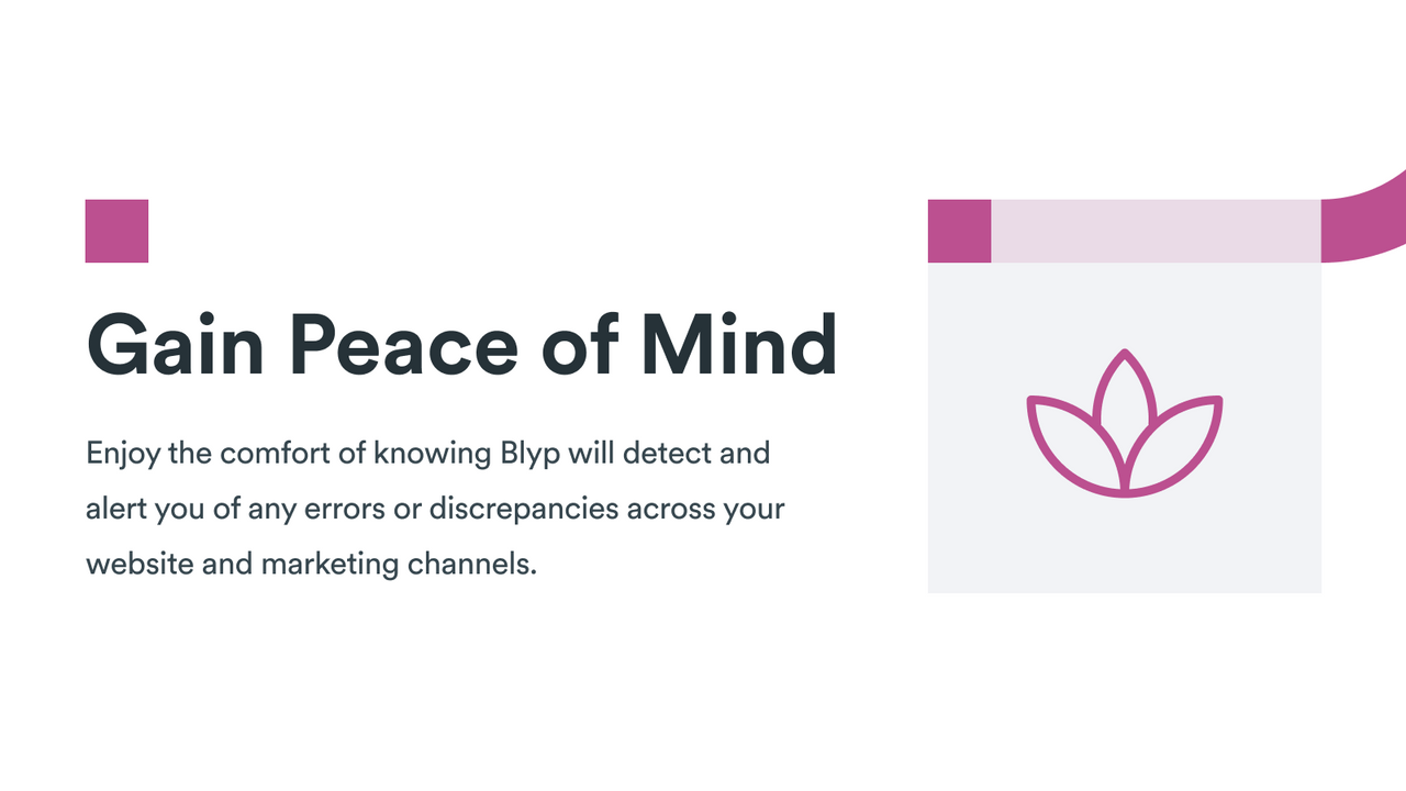 Blyp detects and alerts you of any errors and discrepancies.