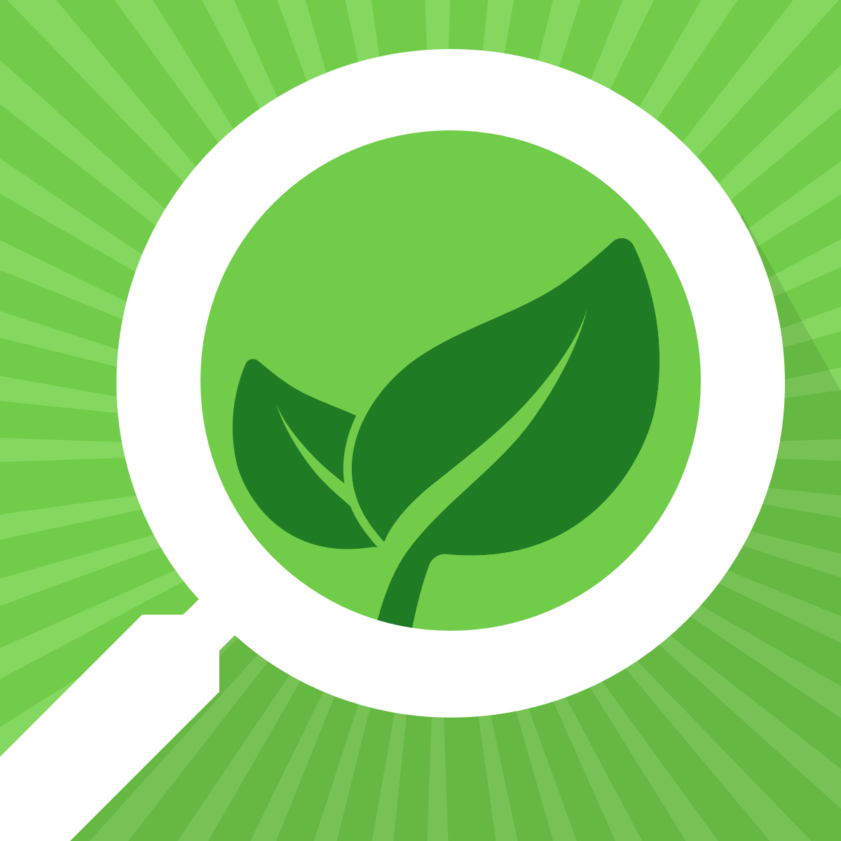 Mirasvit Ecommerce Solutions