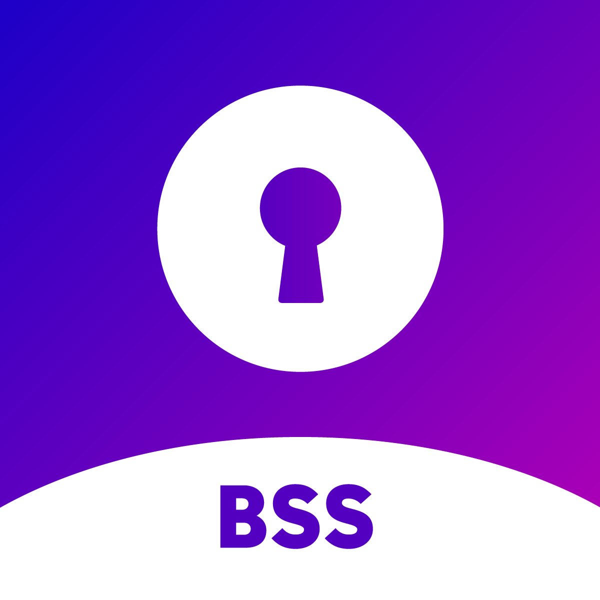 BSS Commerce