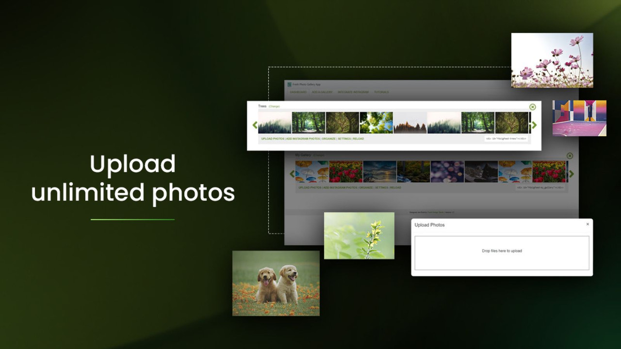 Unlimited photo upload