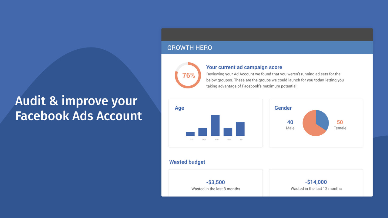 Facebook Ads Audit Hero