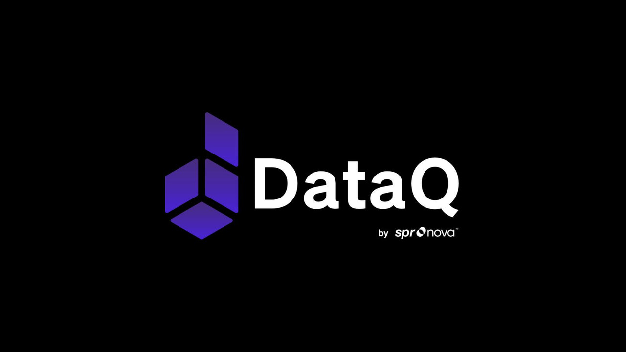 DataQ Customer Insights