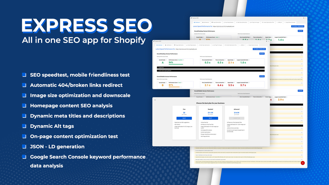 MGLogics Express SEO & Schema