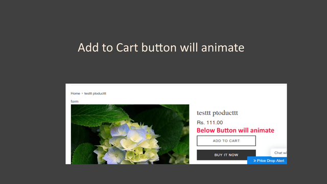 Pushdaddy Add to Cart Animator