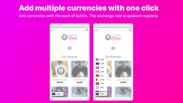 Currency Converter Bear