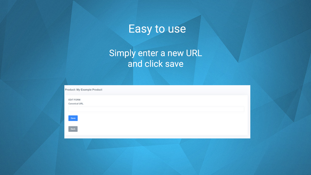 Canonical Tag URL Wizard