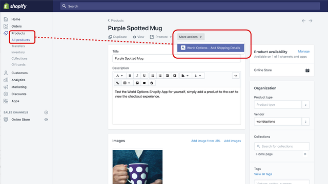 World Options Global Shipping