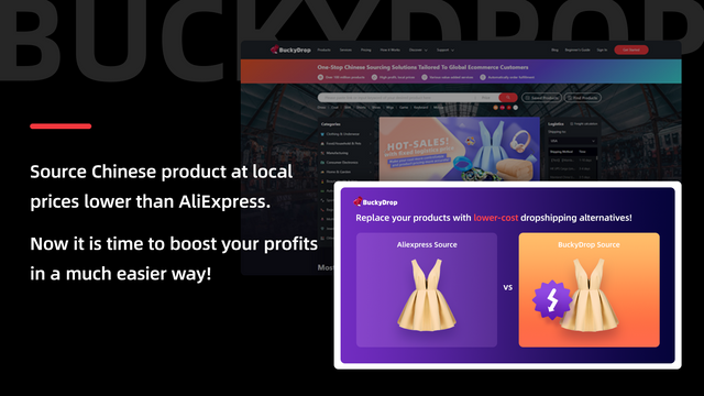 BuckyDrop‑1688 Dropshipping