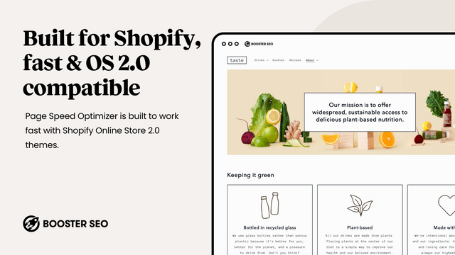 Booster: Page Speed Optimizer