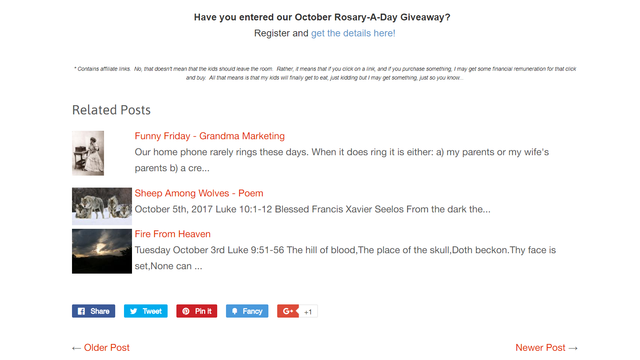 Related Blog Posts Pro