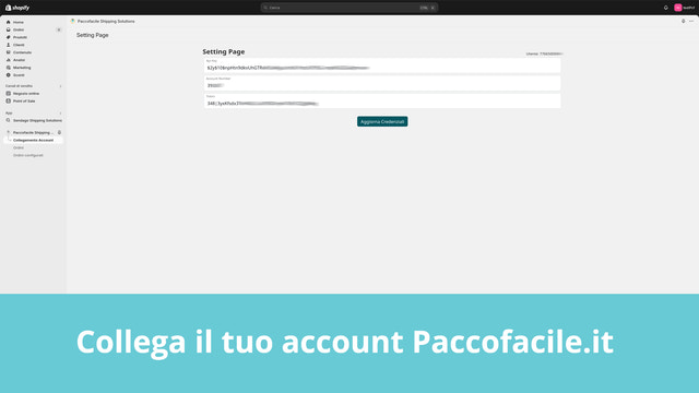 Paccofacile Shipping Solutions