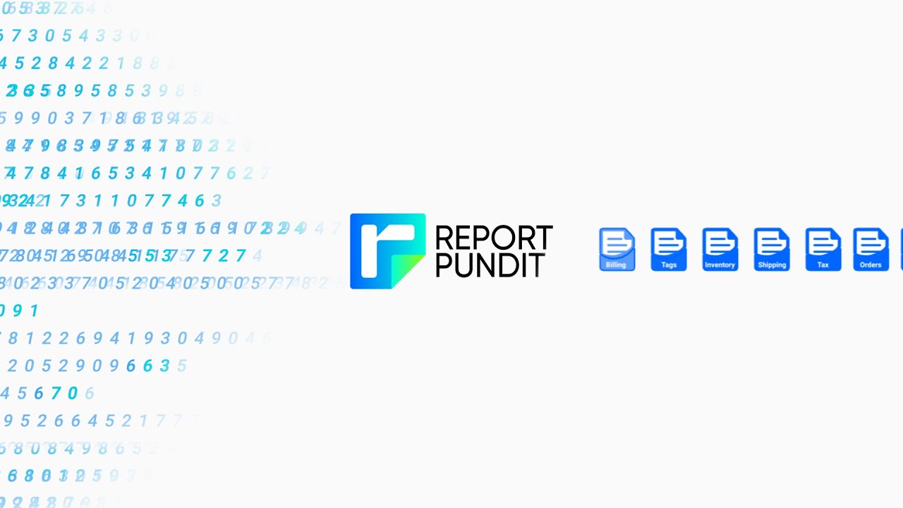 Report Pundit: Custom Reports