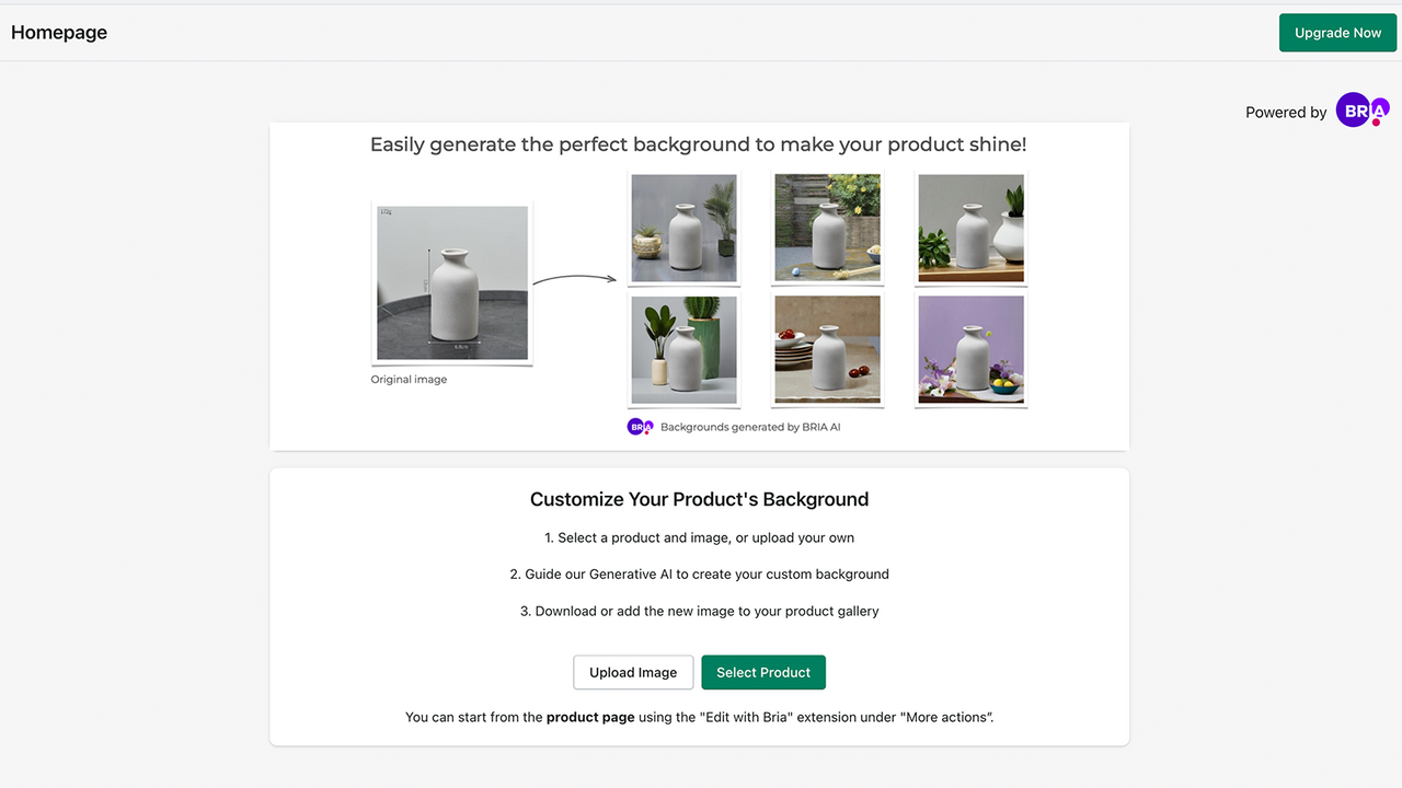 BRIA AI Background Editor Homepage