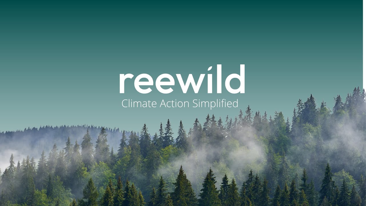 Climate Action with Reewild