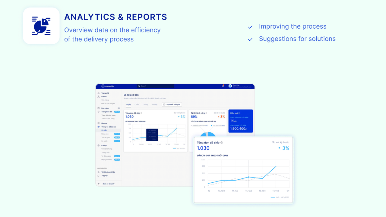 Analytics & Report