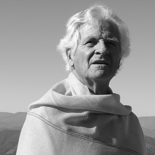 Portret Pierre Paulin