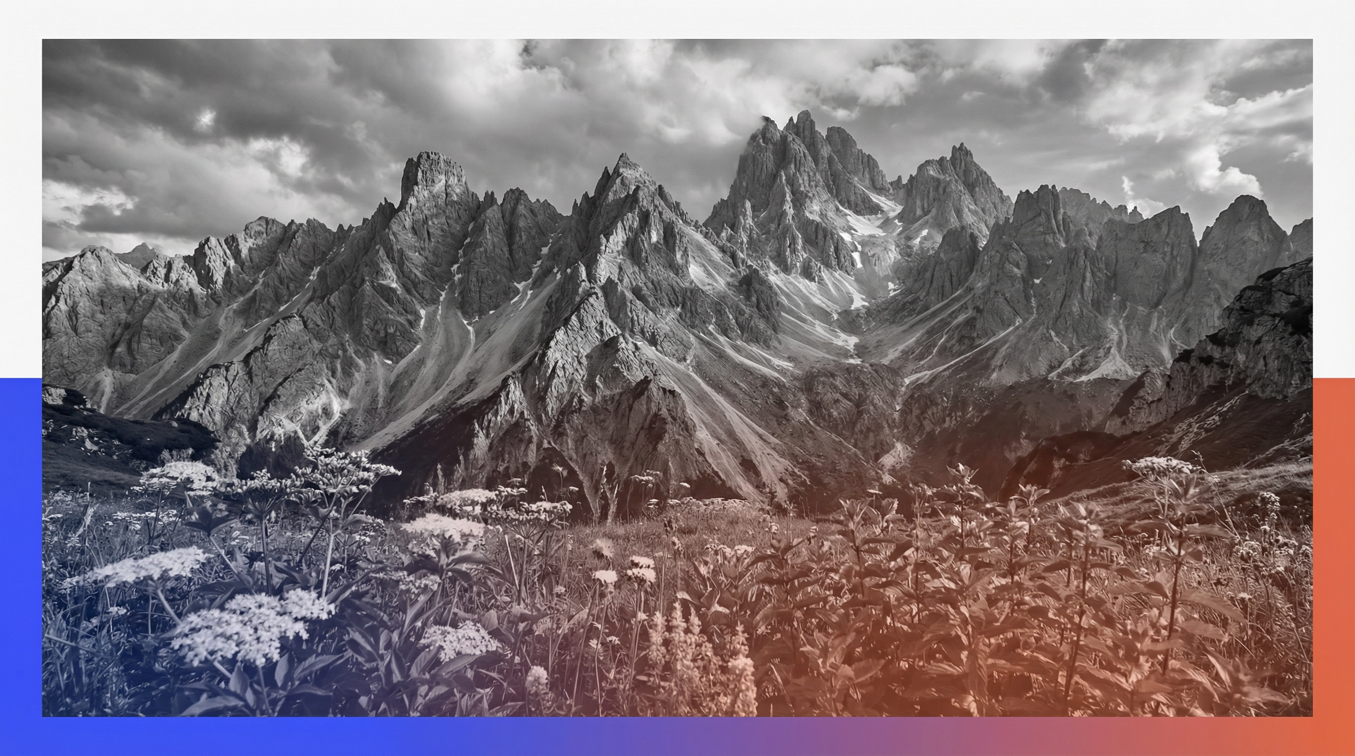 Ricola Case Study - Globale Content-Strategie - Gnocchi und Friends