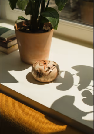 Pot de fleurs au bord d'une fenêtre Orso Hotels Paris