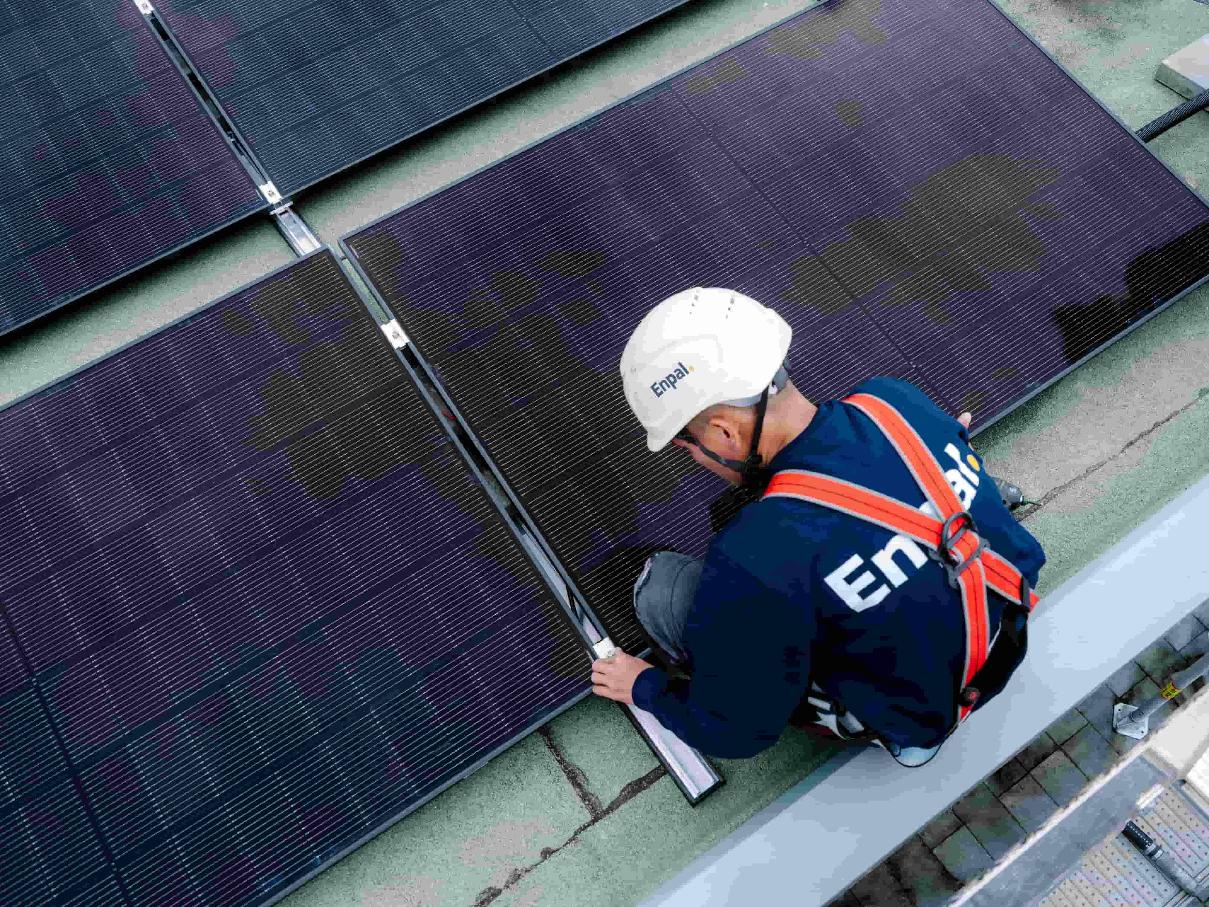 Enpal baut Gewerbegeschäft aus und gewinnt ROOF+ als strategischen Partner für großflächige Carport-Solarprojekte 