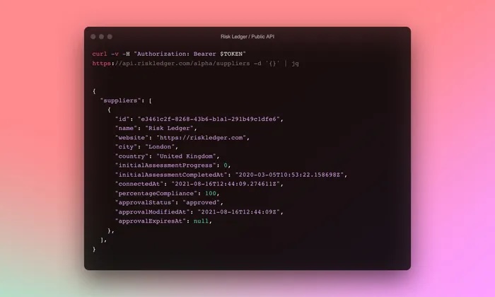 Building our Public API Alpha