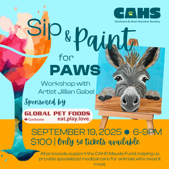 Sip and Pain for Paws