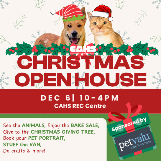 A dog and cat wearing santa hats, advertising for the Christmas Open House, December 6, 10-4.