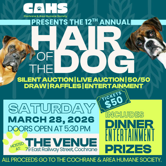 A dog and cat wearing santa hats, advertising for the Christmas Open House, December 6, 10-4.