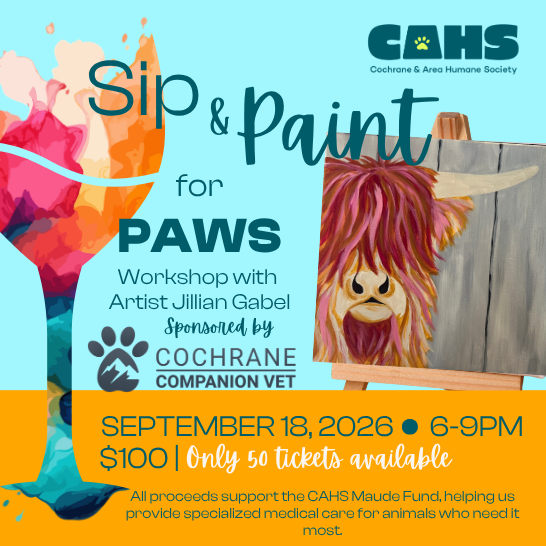 Sip and Pain for Paws