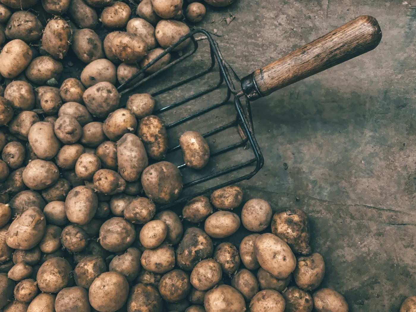 Pommes de terre confites en cocotte à l'huile d'olive