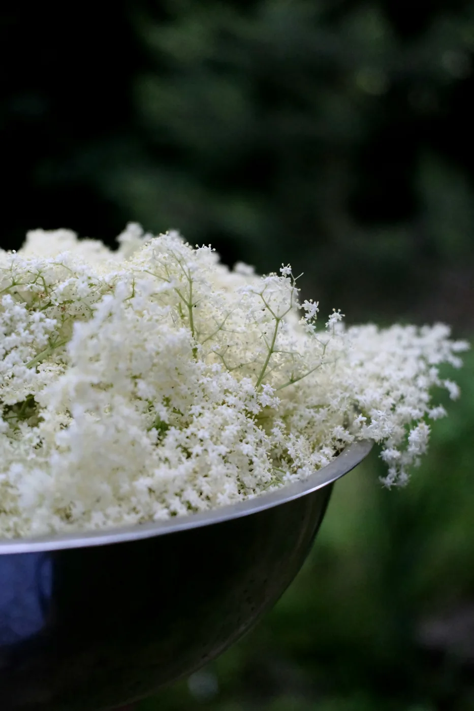 Glace au yaourt et fleurs de sureau dans une coupe, Marcel Cuisine