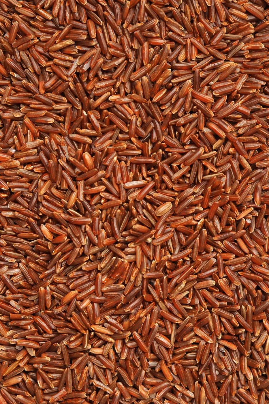 Riz au four doré dans un plat en céramique, Marcel Cuisine