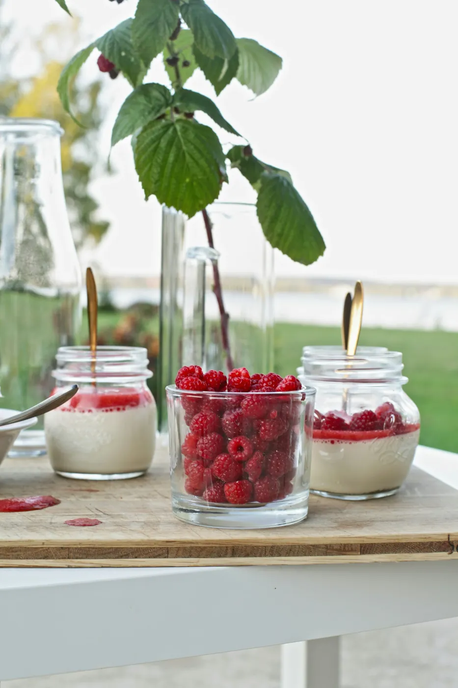 Trois panna cotta dans des bocaux en verre, nappées de coulis et surmontées de framboises fraîches, sur une table de jardin
