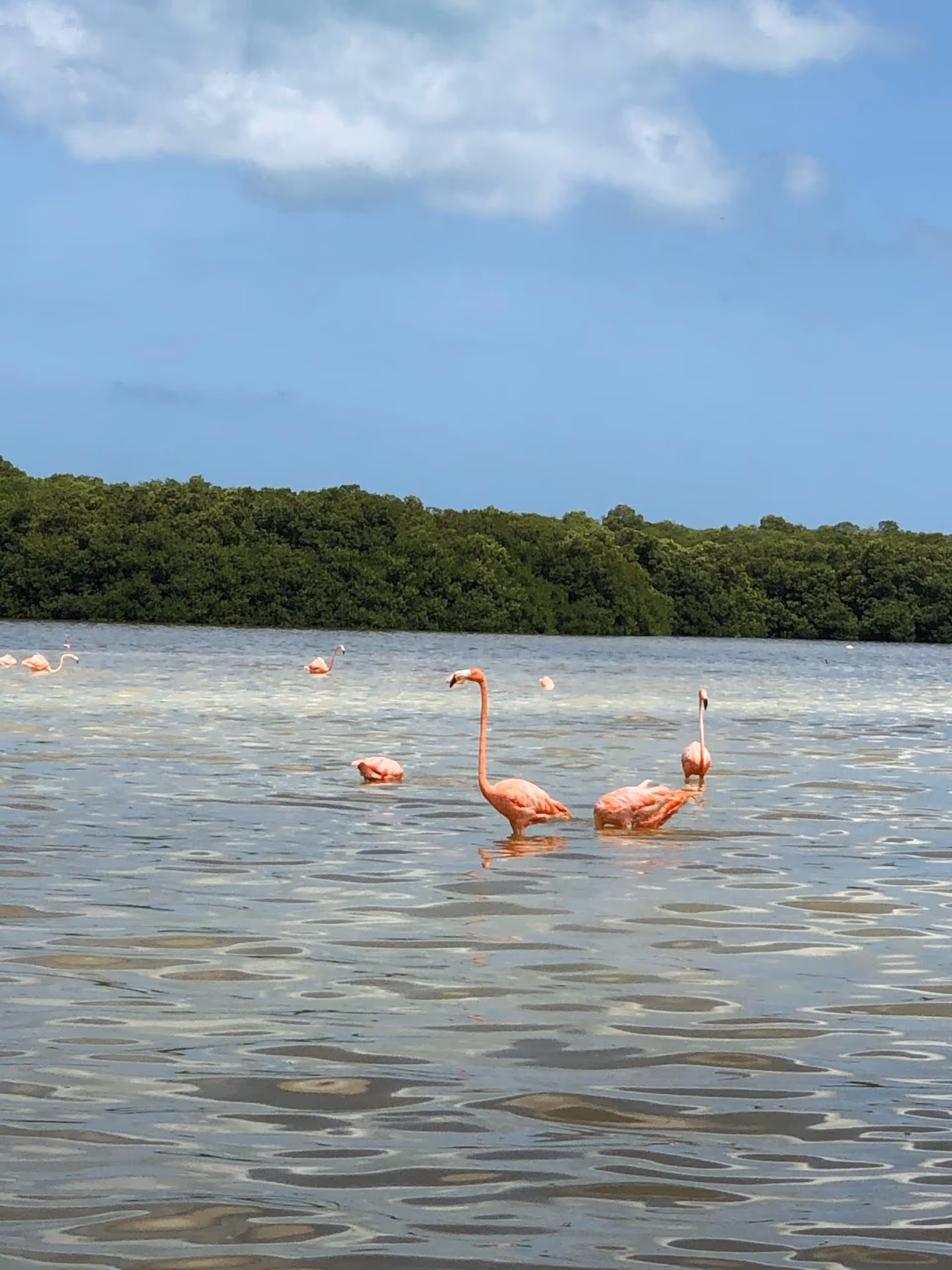 alvaro-rosado-04IfrdENfd8-unsplash-scaled