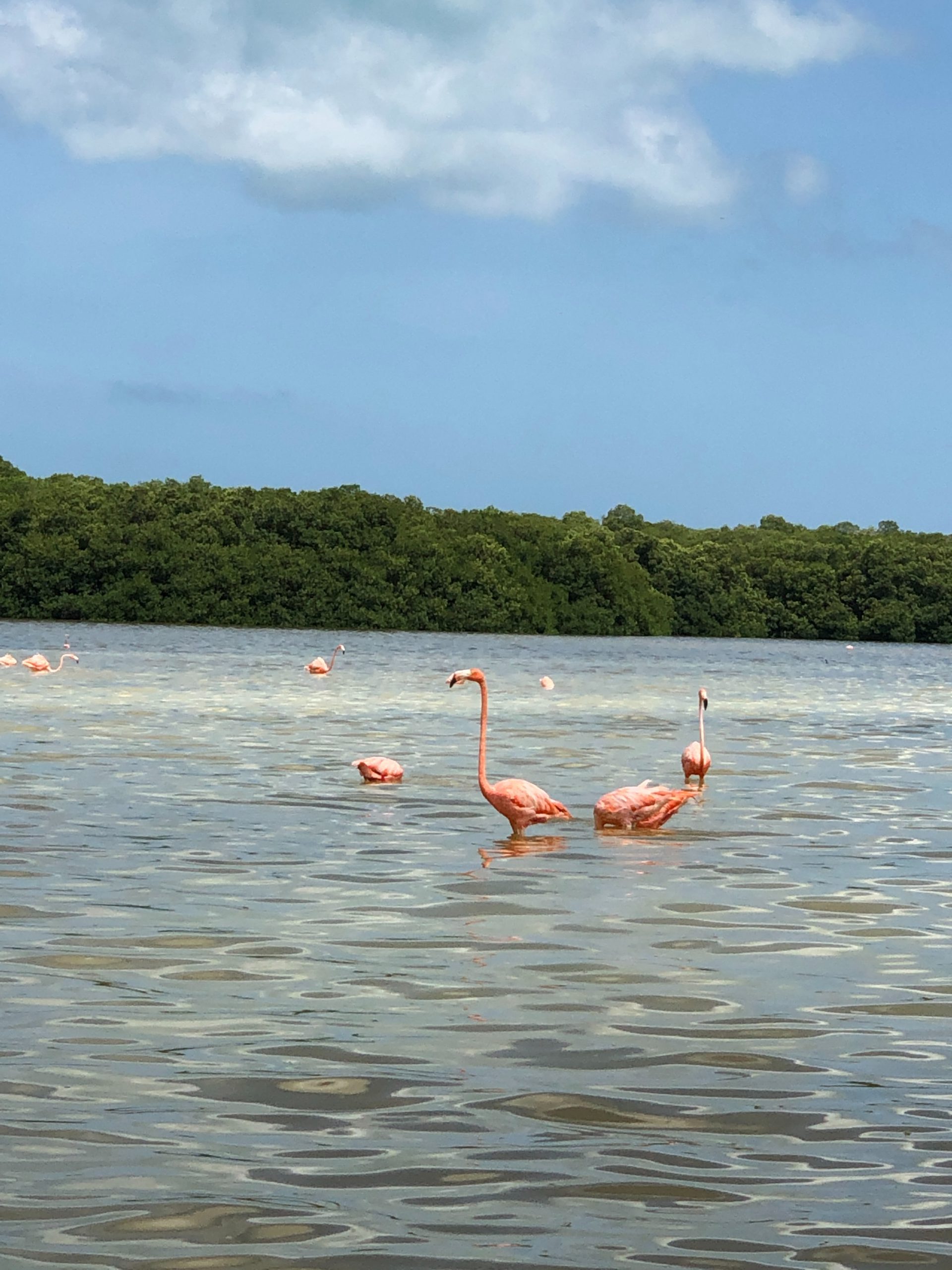 alvaro-rosado-04IfrdENfd8-unsplash-scaled