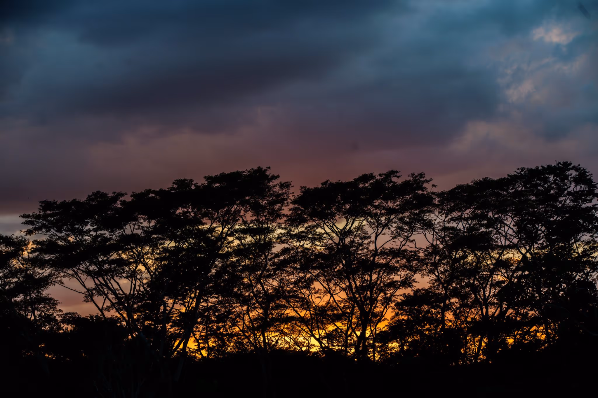 J4_METZABOK-03697-2048x1365