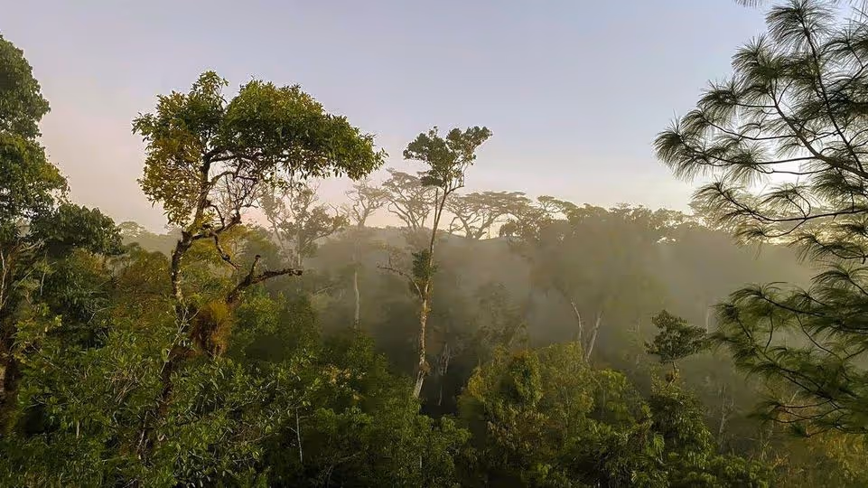 selva-lacandona-rutopia