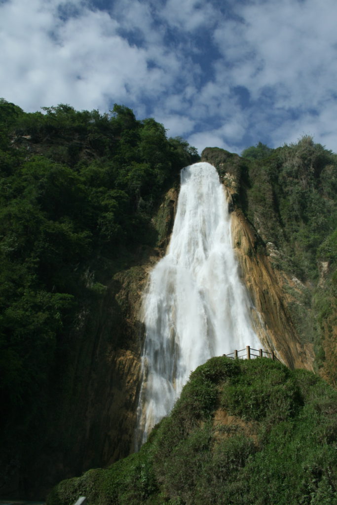 4721528935_21e3d60d8c_o-683x1024