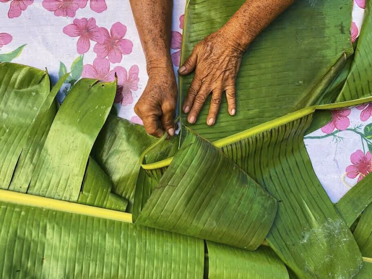 large-tamales-Pib-Selva-Bonita-768x576