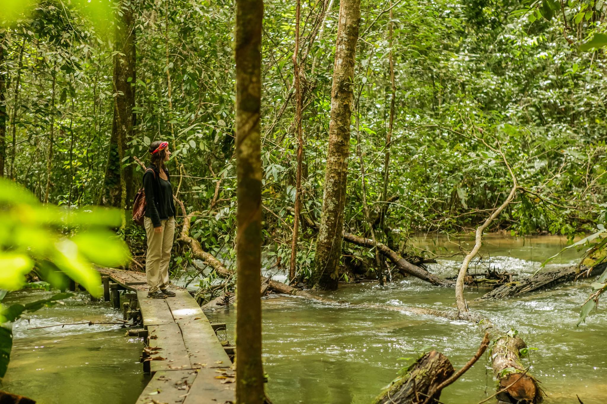 CHIS-Lacandone-ELM-2-_Explore-Le-Monde_-Banco-Fotos-Totonal