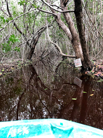 ejido-san-cristo-coco-rutopia-mexique