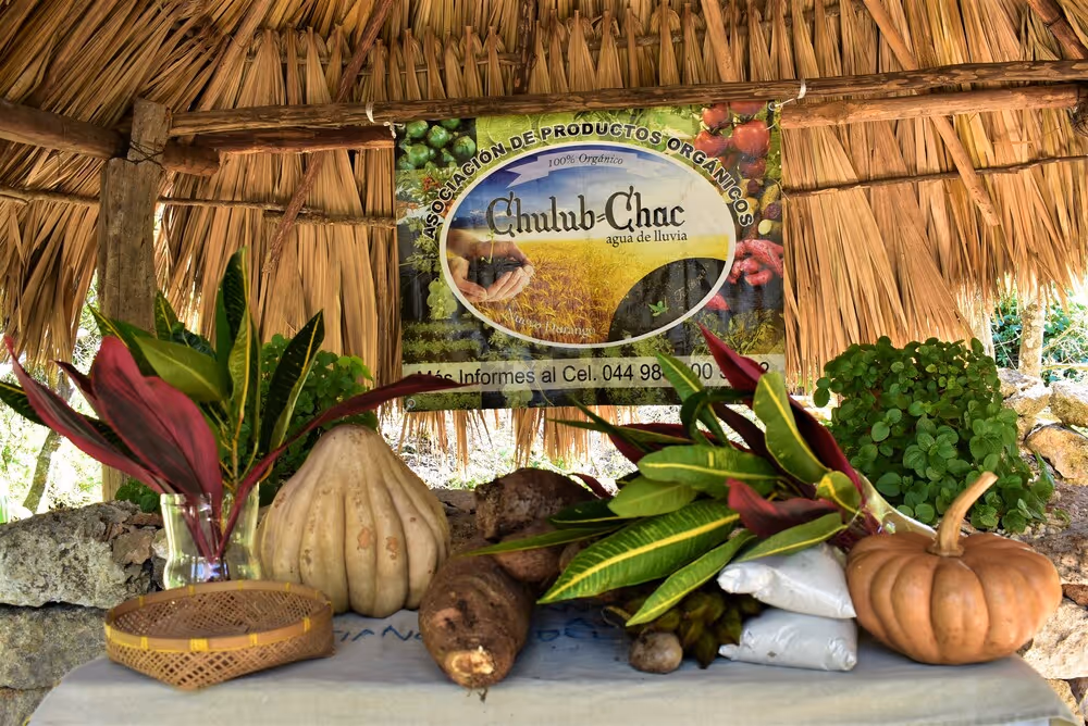 large Chulub Chac