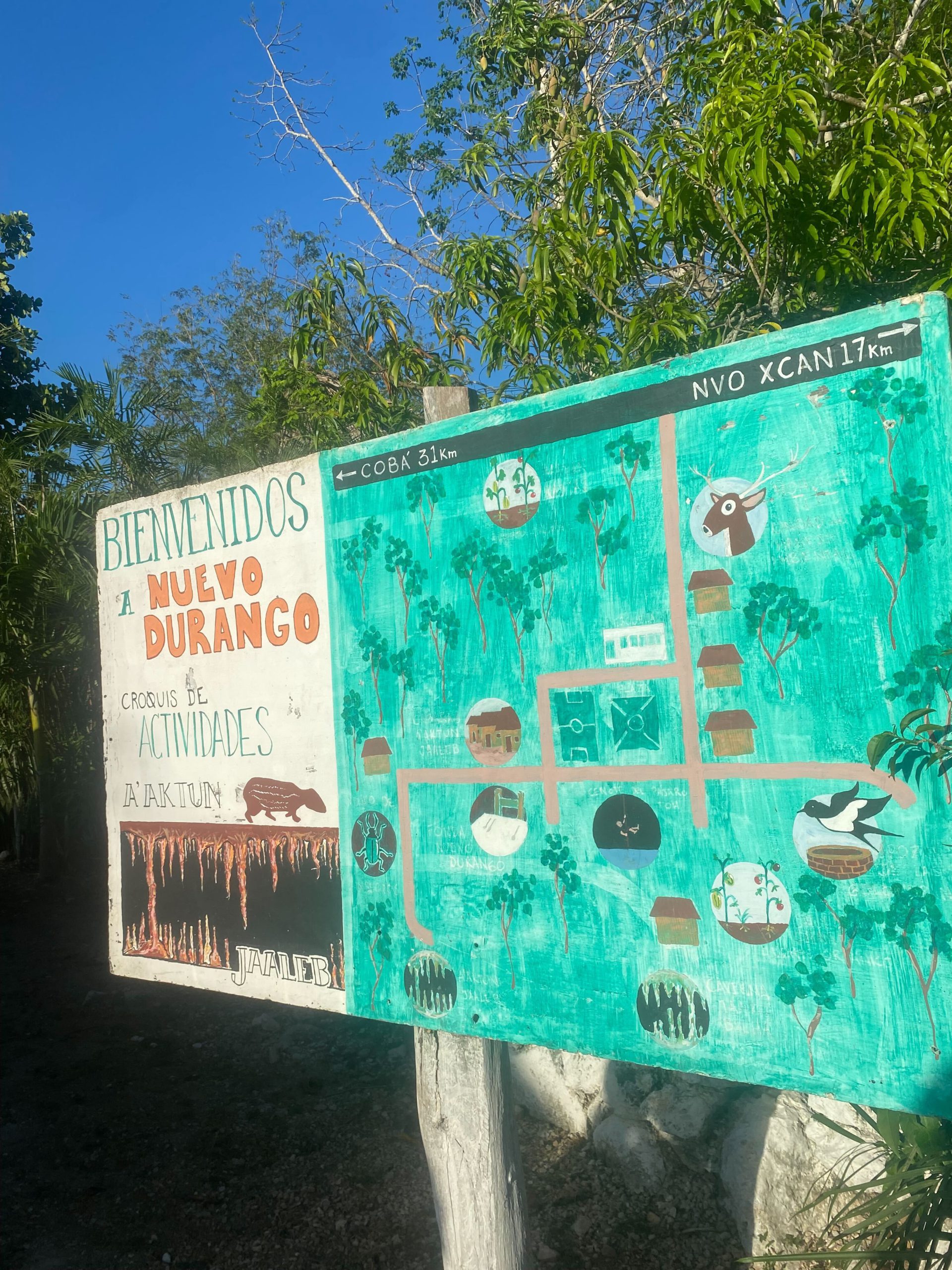 Imagen-de-iOS-7-scaled