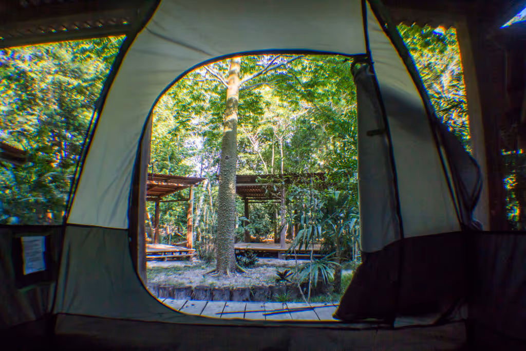 camping-la-raiz-del-futuro-mexico-Rutopia-1024x683